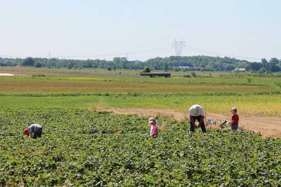 Ferme JL Leblanc