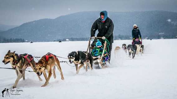 Homme faisant du traîneau à chiens à la Féérie d'hiver de Saint-Donat