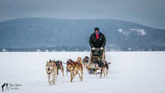 Homme faisant du traîneau à chiens à la Féérie d'hiver de Saint-Donat