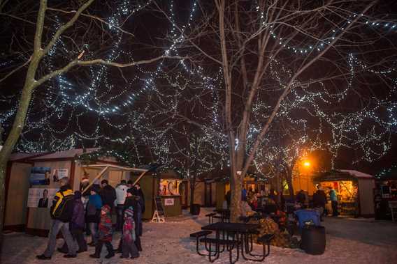Arbres illuminés en soirée au Marché de Noël de Terrebonne