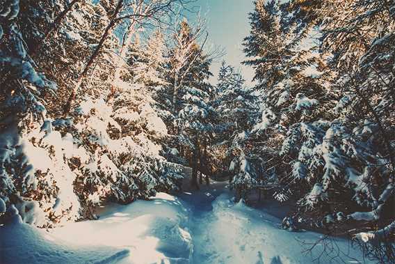 Ski de fond et raquette - Parc national du Mont-Tremblant