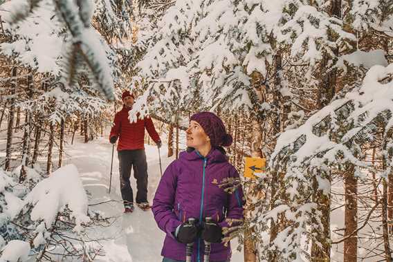 Ski de fond et raquette - Parc national du Mont-Tremblant