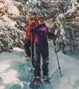 Cross-country skiing and Snowshoeing - Parc national du Mont-Tremblant (Saint-Donat sector only)