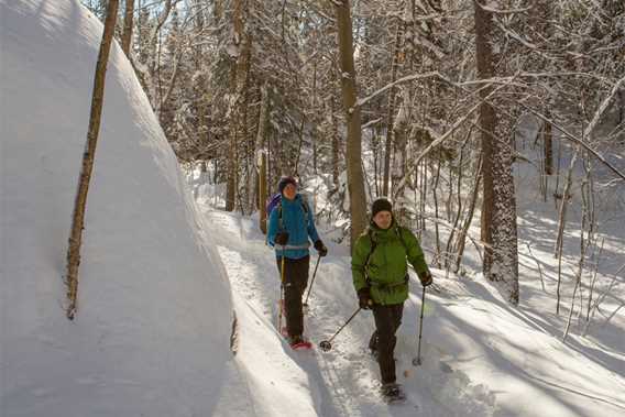 Ski de fond et raquette - Parc national du Mont-Tremblant