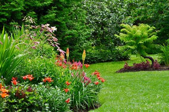 English garden at Maison Antoine-Lacombe