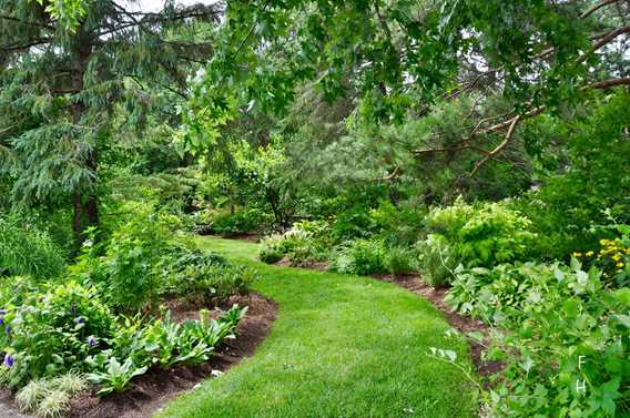 English garden at Maison Antoine-Lacombe