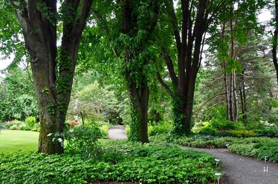 English garden at Maison Antoine-Lacombe