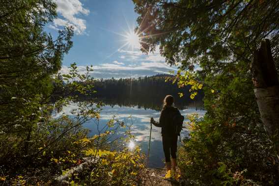 Randonnée Parc régional de la Forêt Ouareau