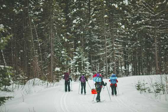 Ski de fond et raquette - Parc régional de la Forêt Ouareau