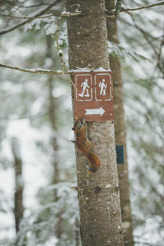 Ski de fond et raquette - Parc régional de la Forêt Ouareau