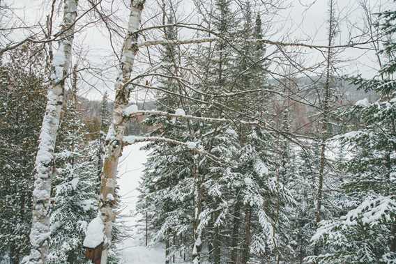 Ski de fond et raquette - Parc régional de la Forêt Ouareau