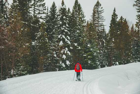 Ski de fond et raquette - Parc régional de la Forêt Ouareau