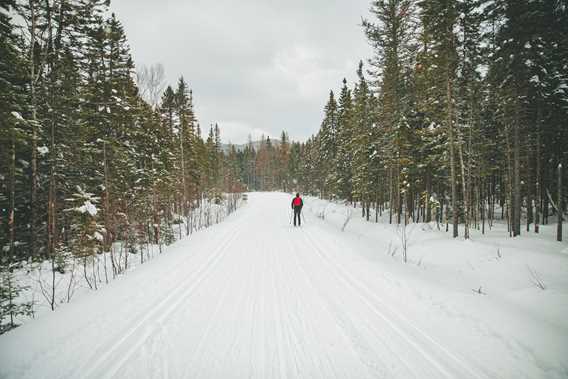 Ski de fond et raquette - Parc régional de la Forêt Ouareau