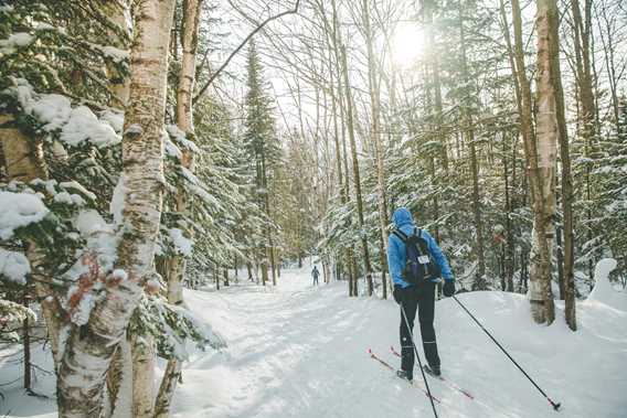 Ski de fond et raquette - Parc régional de la Forêt Ouareau