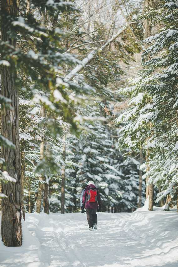 Ski de fond et raquette - Parc régional de la Forêt Ouareau