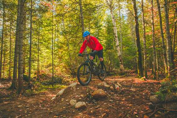 Mountain bike in Saint-Donat