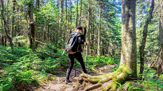 Le sentier de la Montagne Noire à Saint-Donat
