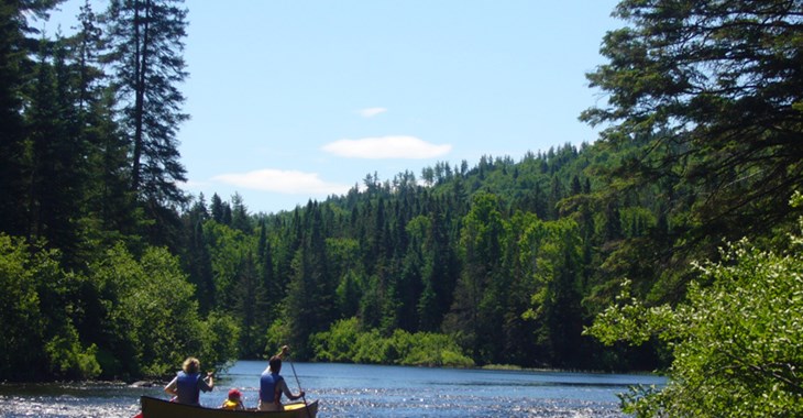 LeLab.Lanaudiere.Data.Models.LocalizedString