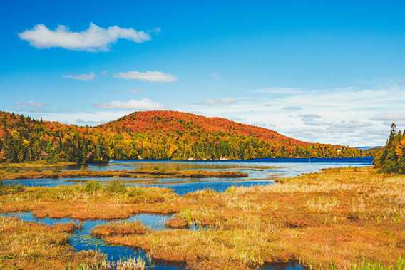 Fall in Saint-Donat