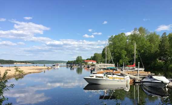 Camping des Roses