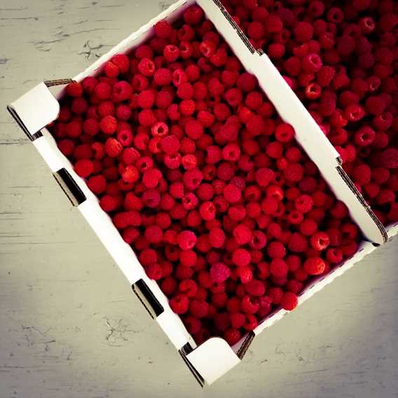 Ferme Bourdelais basket of rasberries