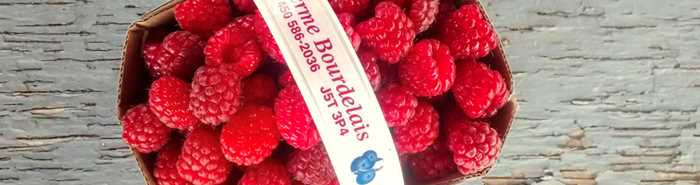 Ferme Bourdelais raspberries