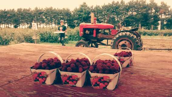 Ferme Bourdelais