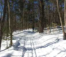 Cross-country-skiing-fatbike-in-sentiers-brandon