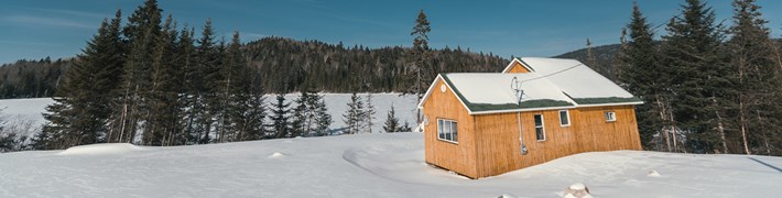 LeLab.Lanaudiere.Data.Models.LocalizedString