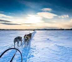 kabania-traiineau-a-chiens-coucher