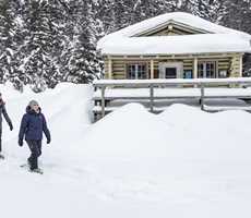 parc-du-mont-tremblant-pimbina-snowshoeing-cabin