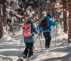 couple snowshoeing in Forêt Ouareau