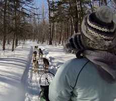 Aventures liguorienes dogsleding