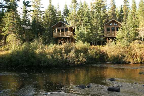 Kabania-cabins-in-the-trees