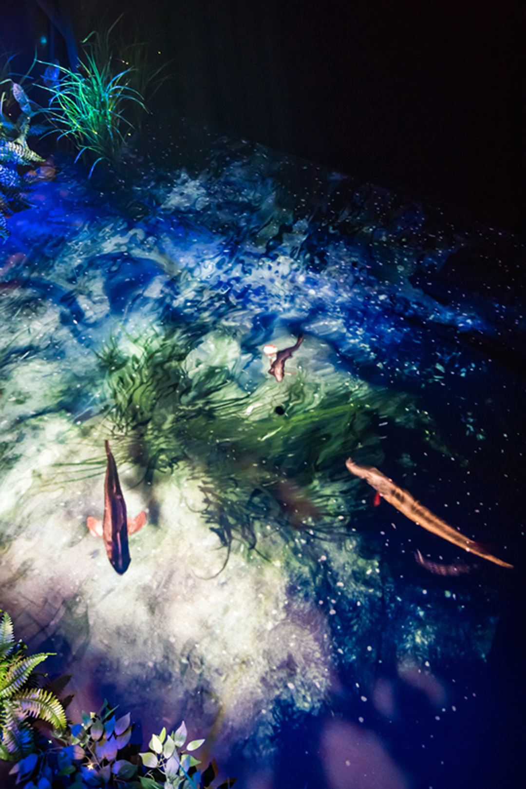 The indoor interactive journey
