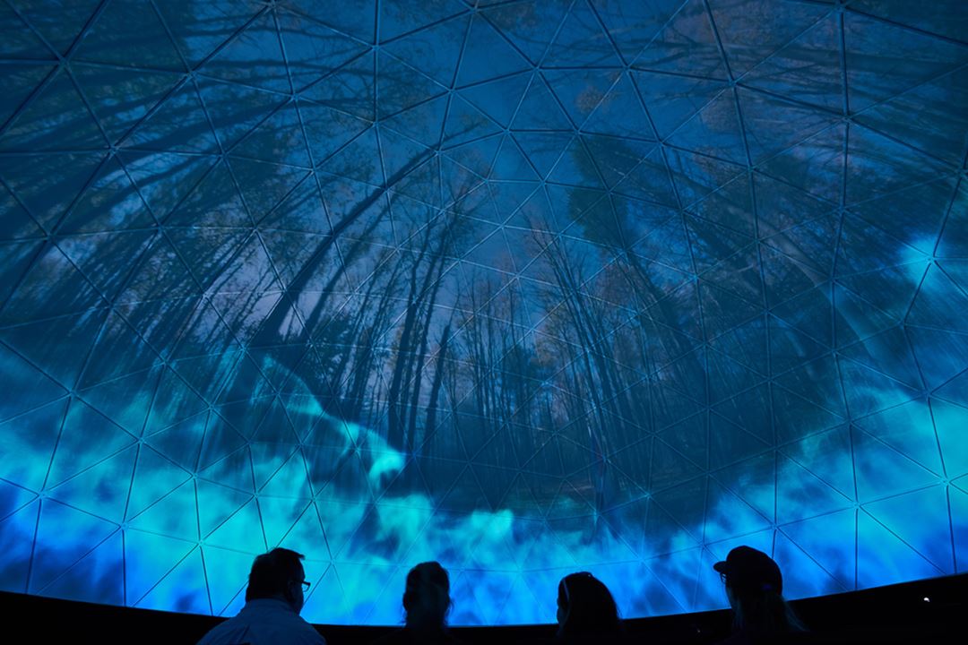 The 360 degree dome
