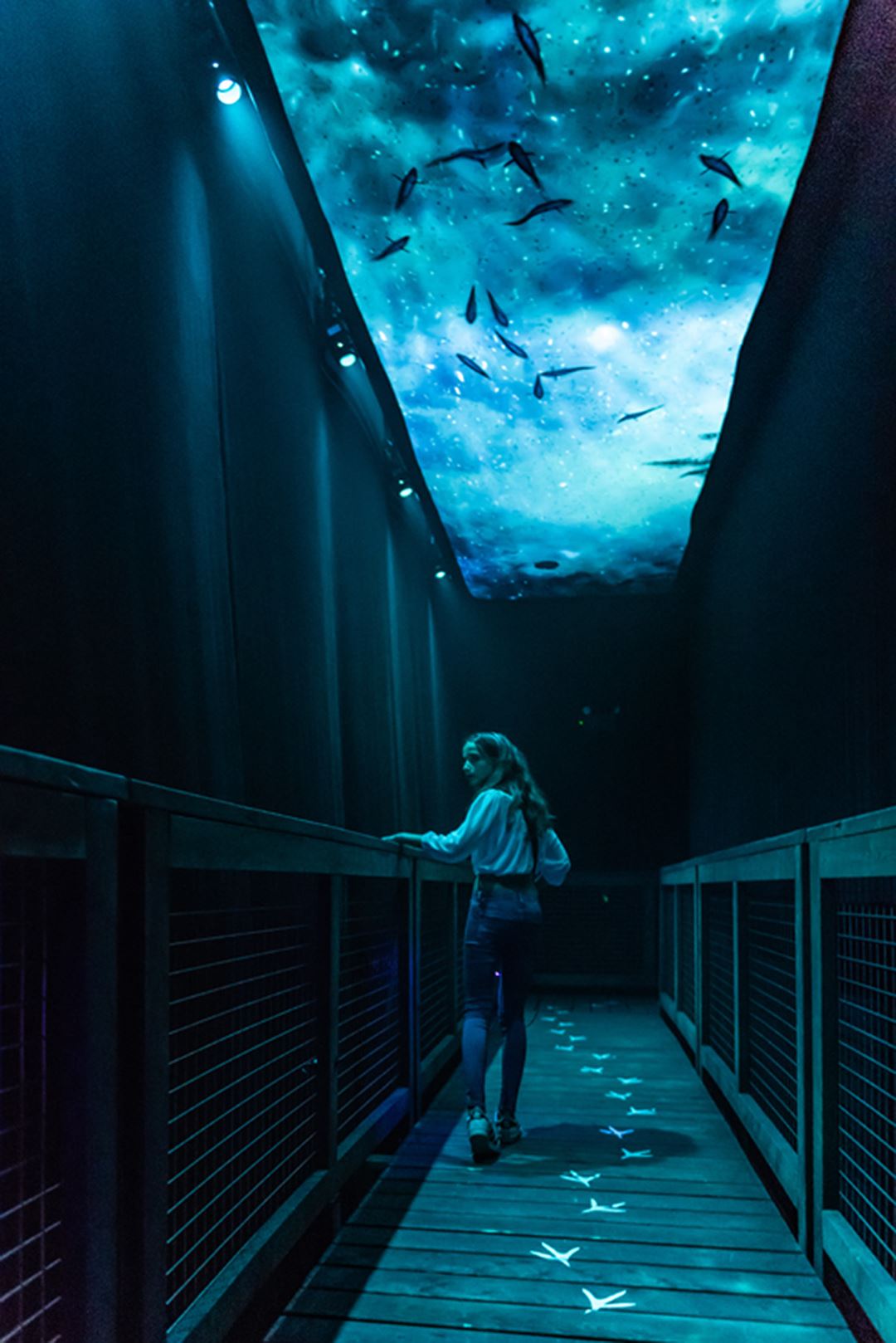 The indoor interactive journey