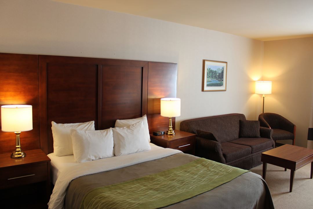 comfortinn_shawi_chambre_TM