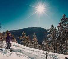 Backcountry Skiing Parc national du Mont-Tremblant
