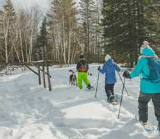 Journée de randonnée hivernale au Parc des Chutes Monte-à-Peine-et-des-Dalles