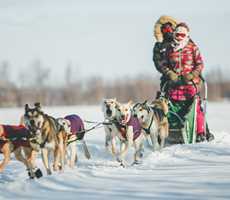 Les Aventures Liguoriennes - Aventures en traîneau à chien et activités découvertes