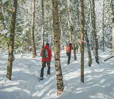Ski la Réserve - Discover the snowshoeing trails!