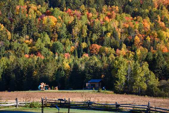 golle-goulu-camping-refuges-fall