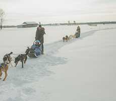 HÔTEL CHÂTEAU JOLIETTE - Dog sledding