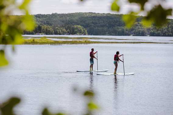 Paddle board at l'Auberge du Lac Taureau