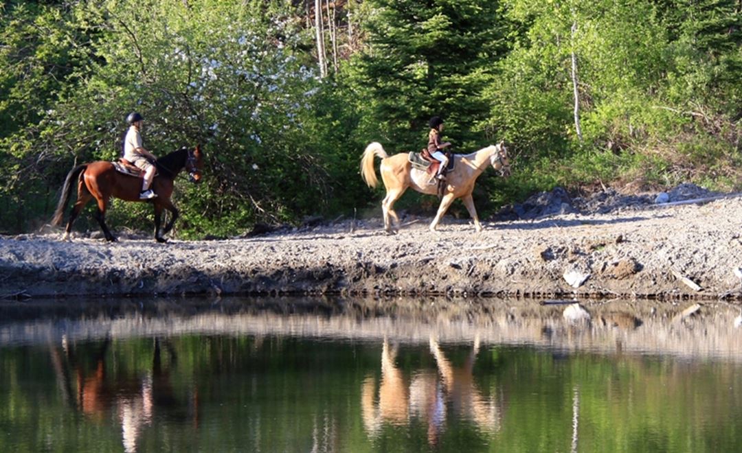 Domaine-Sam-Calm-equitation