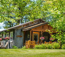 Chalets des Pins - La Légende des pins