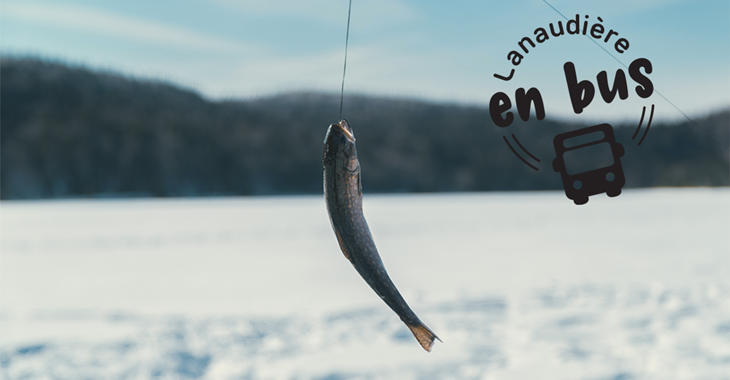 LeLab.Lanaudiere.Data.Models.LocalizedString