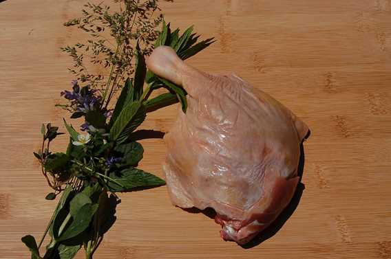 Cuisse de canard