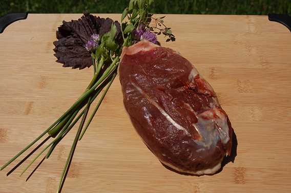 Poitrine de canard